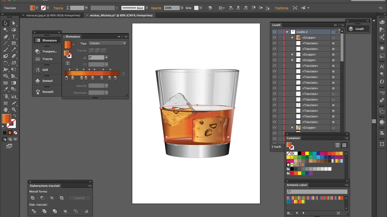 Adobe Illustrator preview