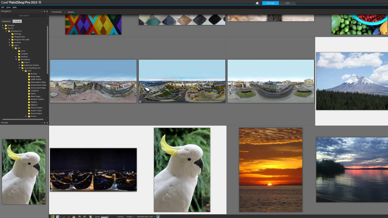 PaintShop Pro preview