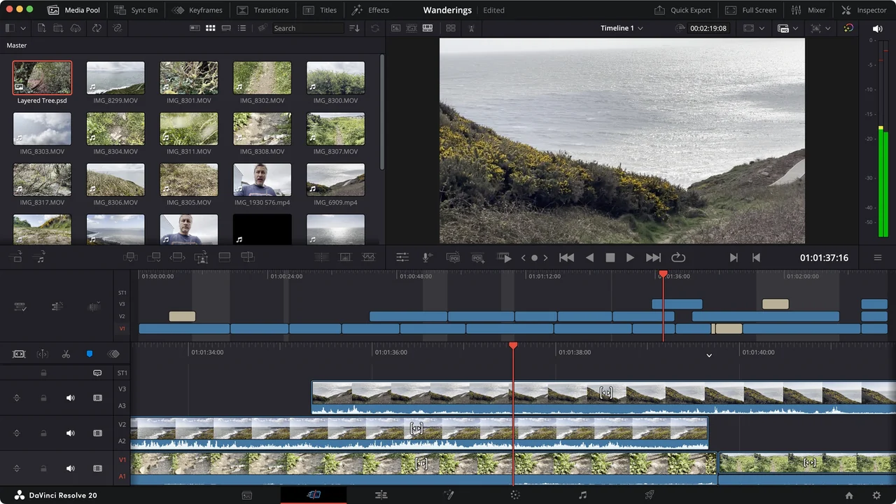 DaVinci Resolve preview